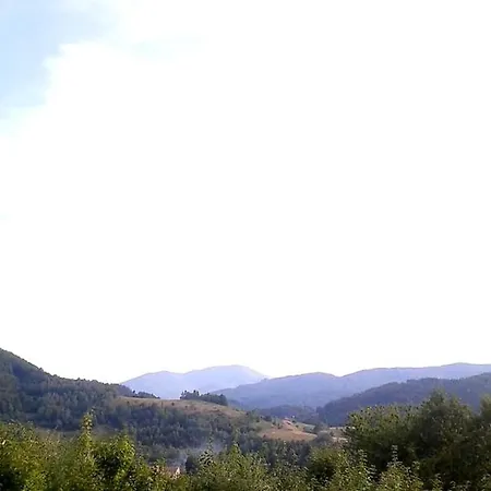 Gasthof Cavoj Guest House Cavoj